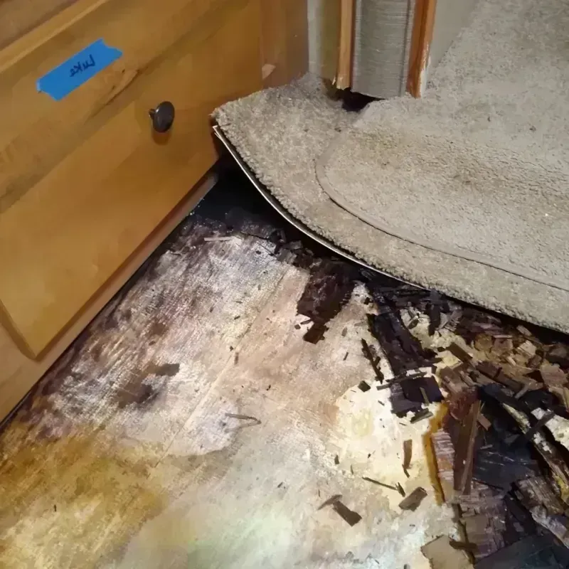 Wood Floor Water Damage in Carrollton, AL